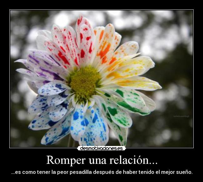 Romper una relación... - ...es como tener la peor pesadilla después de haber tenido el mejor sueño.