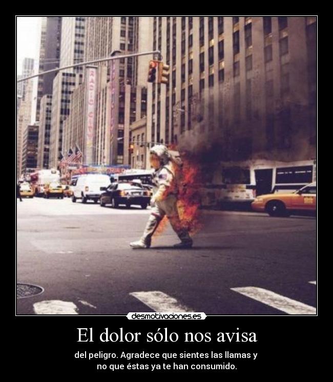 El dolor sólo nos avisa - del peligro. Agradece que sientes las llamas y 
no que éstas ya te han consumido.