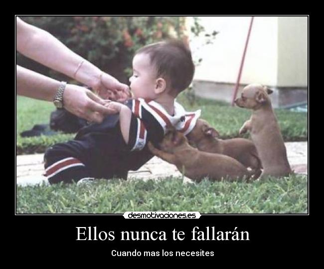 carteles unbuencartelaqui amor animal filosofia sam estilo guti vienen los 100 carteles desmotivaciones