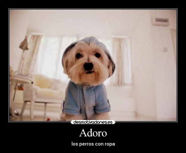 Adoro -