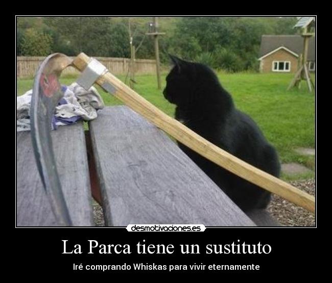 La Parca tiene un sustituto - Iré comprando Whiskas para vivir eternamente