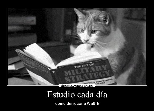 Estudio cada día - como derrocar a Walt_k