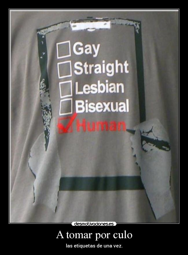 carteles cosa asi gay bisexual lesbian hetero humano desmotivaciones