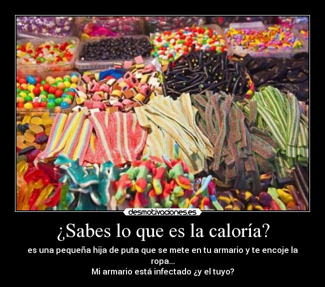 ¿Sabes lo que es la caloría? - es una pequeña hija de puta que se mete en tu armario y te encoje la ropa...
Mi armario está infectado ¿y el tuyo?