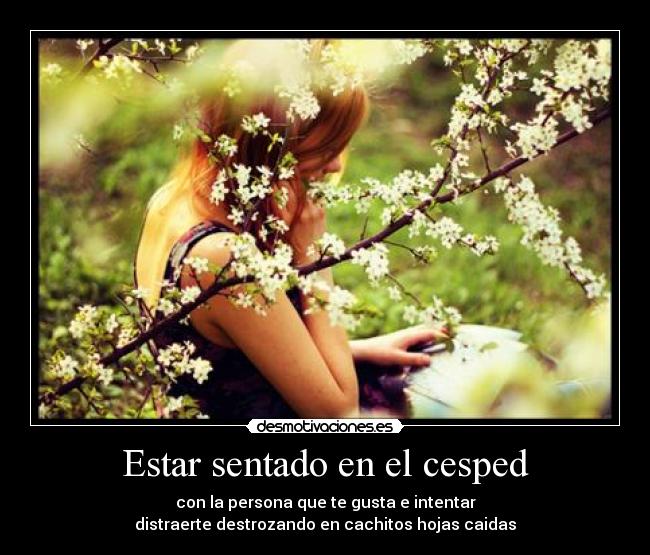 Estar sentado en el cesped - con la persona que te gusta e intentar
distraerte destrozando en cachitos hojas caidas