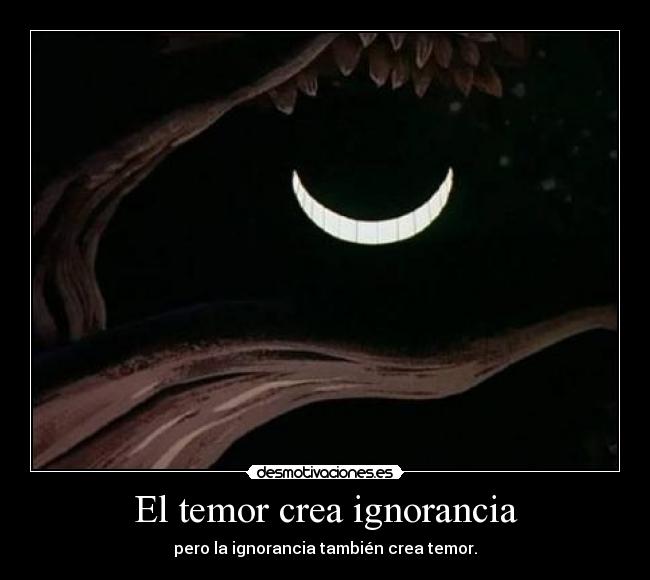 carteles ignorancia cheshire desmotivaciones