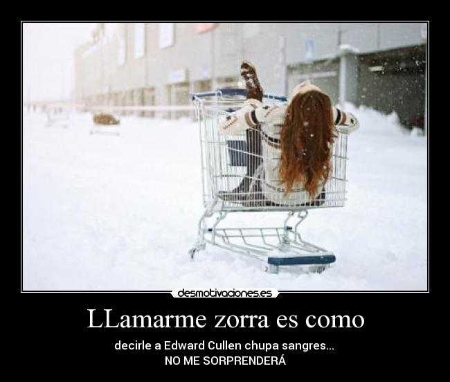 carteles bitch desmotivaciones