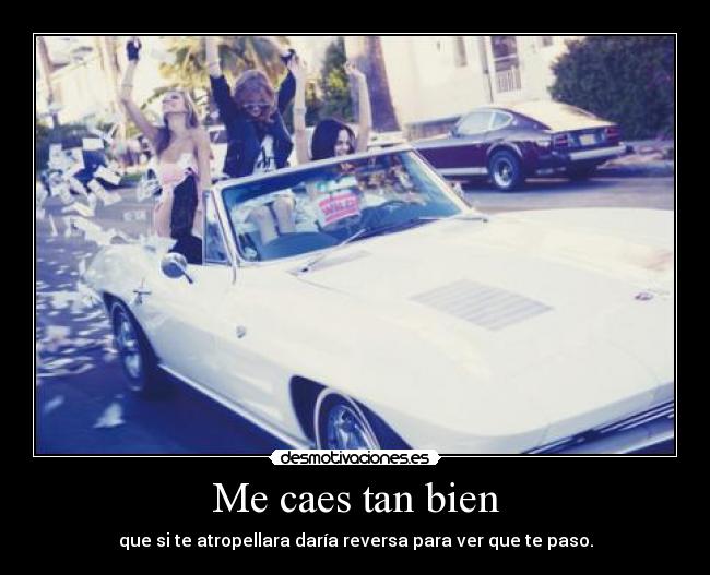 Me caes tan bien -