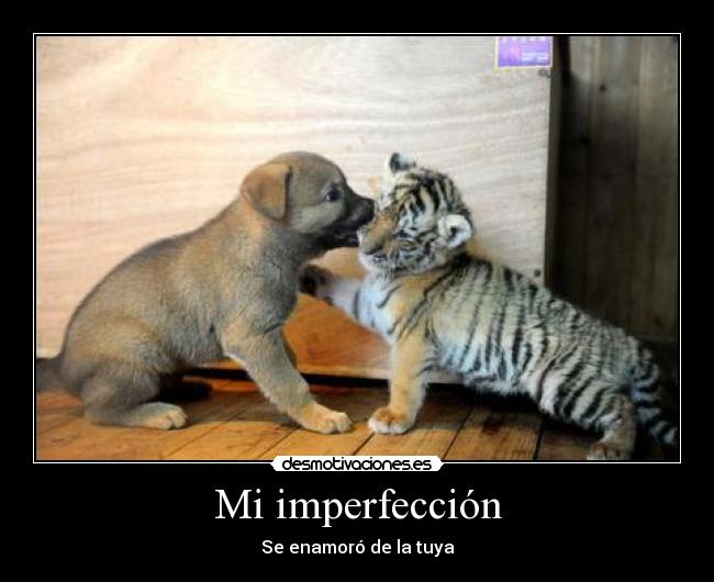 Mi imperfección - 