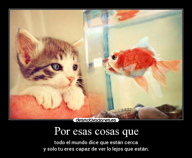 Por esas cosas que - todo el mundo dice que están cerca
y solo tu eres capaz de ver lo lejos que están.