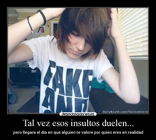Tal vez esos insultos duelen... - 