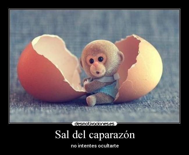 Sal del caparazón - 