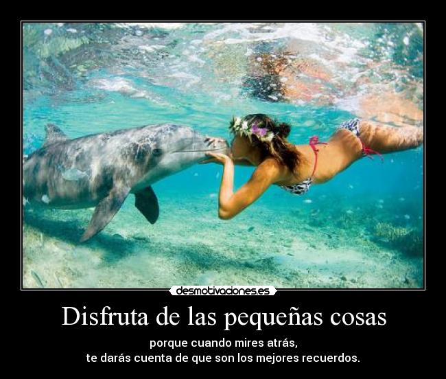 Disfruta de las pequeñas cosas - porque cuando mires atrás,
te darás cuenta de que son los mejores recuerdos.