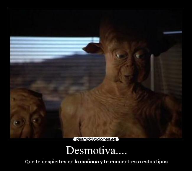 carteles pss verdad desmotivaciones