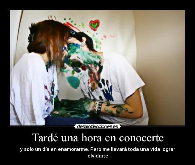 Tardé una hora en conocerte - 