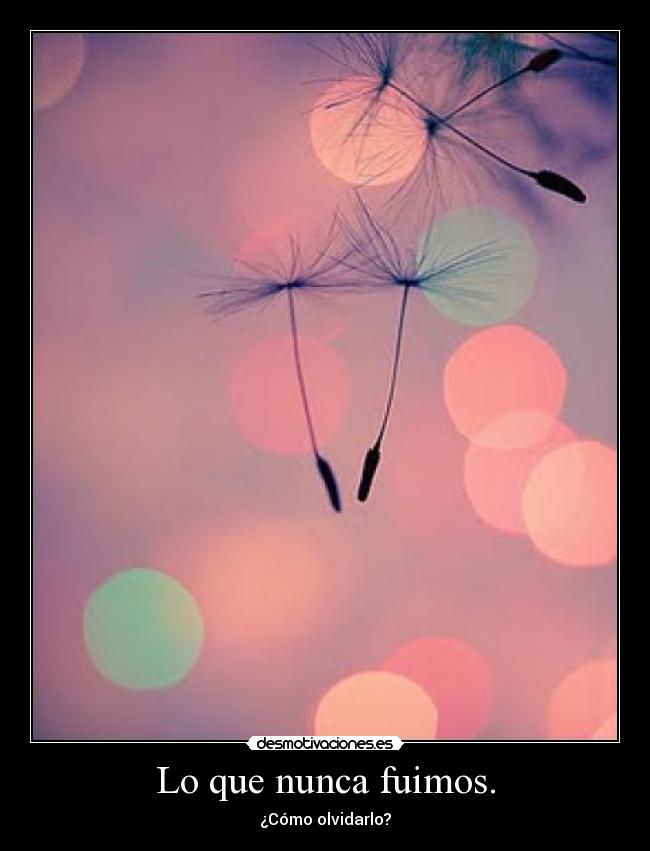 Lo que nunca fuimos. - 
