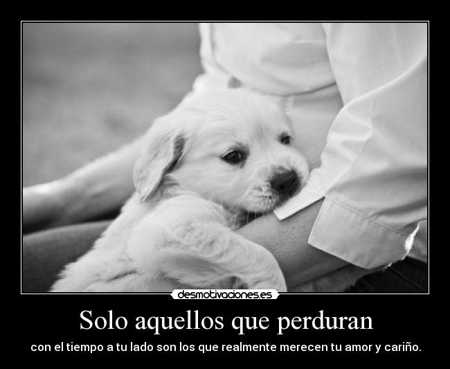 Solo aquellos que perduran - con el tiempo a tu lado son los que realmente merecen tu amor y cariño.