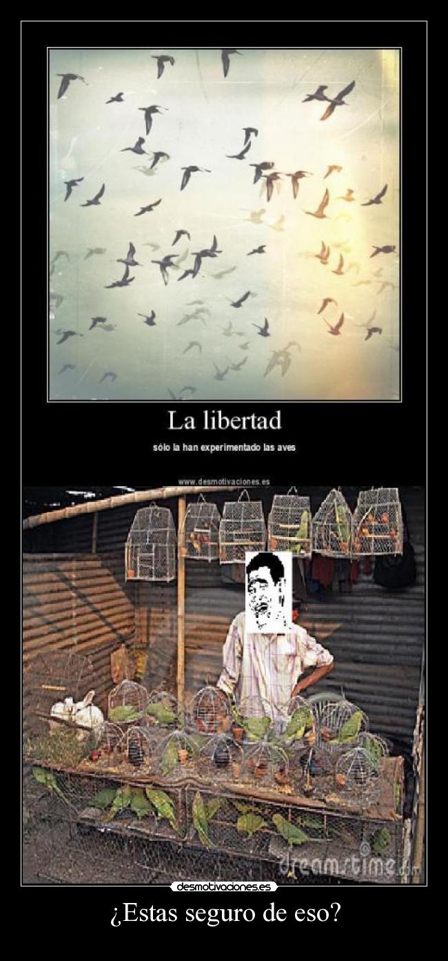 ¿Estas seguro de eso? -