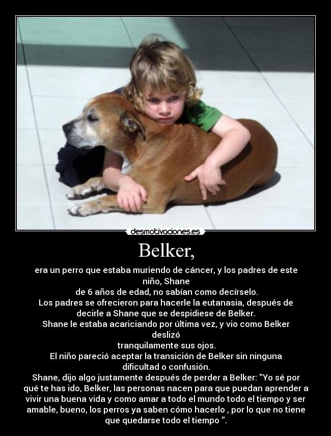 Belker, - era un perro que estaba muriendo de cáncer, y los padres de este
niño, Shane
 de 6 años de edad, no sabían como decírselo.
Los padres se ofrecieron para hacerle la eutanasia, después de
decirle a Shane que se despidiese de Belker.
Shane le estaba acariciando por última vez, y vio como Belker
deslizó
 tranquilamente sus ojos.
El niño pareció aceptar la transición de Belker sin ninguna
dificultad o confusión.
Shane, dijo algo justamente después de perder a Belker: Yo sé por
qué te has ido, Belker, las personas nacen para que puedan aprender a
vivir una buena vida y como amar a todo el mundo todo el tiempo y ser
amable, bueno, los perros ya saben cómo hacerlo , por lo que no tiene
que quedarse todo el tiempo .