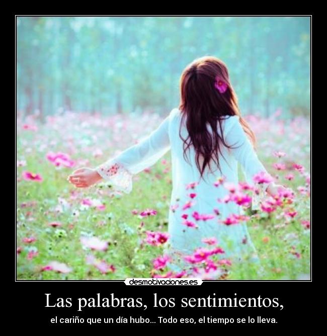 Las palabras, los sentimientos, - 