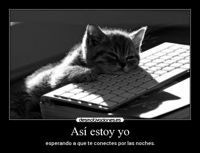 Así estoy yo - esperando a que te conectes por las noches.
