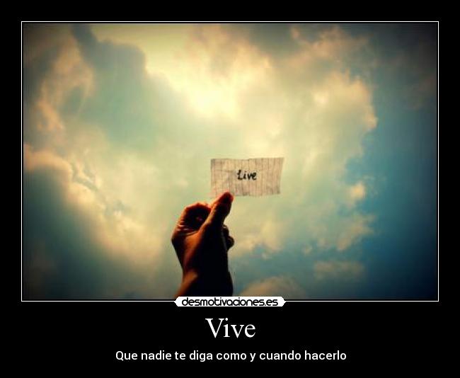 Vive -