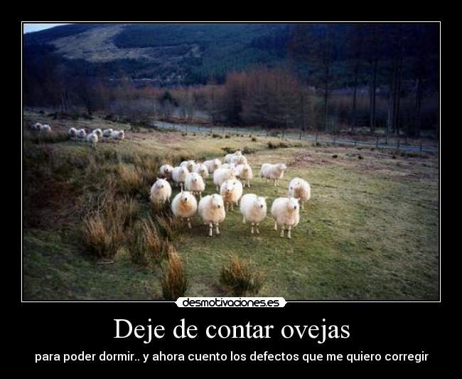 Deje de contar ovejas -