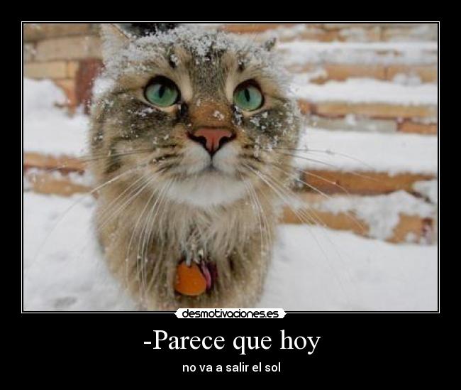 -Parece que hoy -