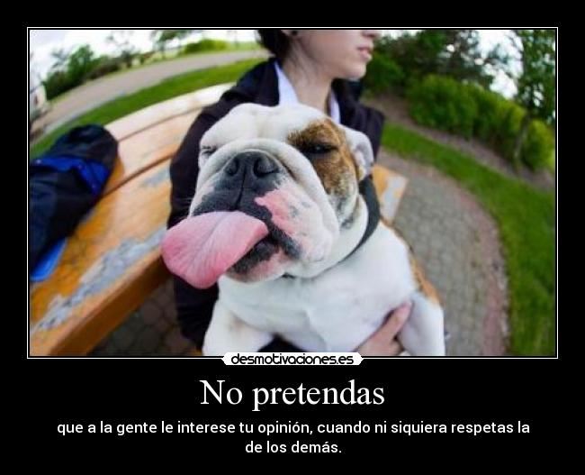 carteles bulma272 ojala los perros pudieran usar dedito fuck you desmotivaciones