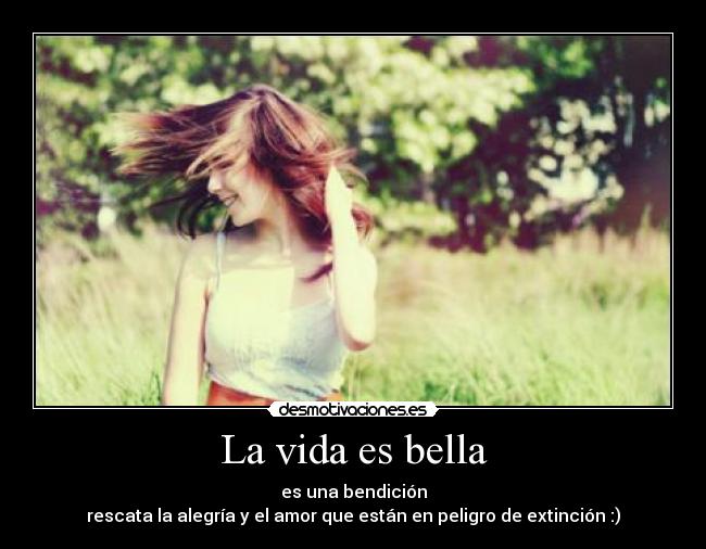 La vida es bella - es una bendición
rescata la alegría y el amor que están en peligro de extinción :)