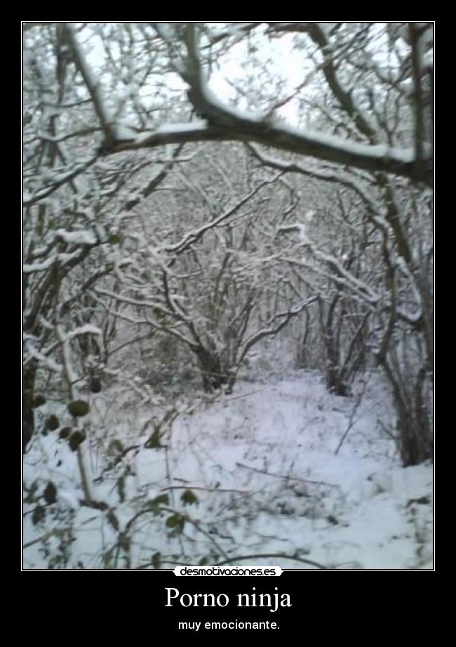 Porno ninja -