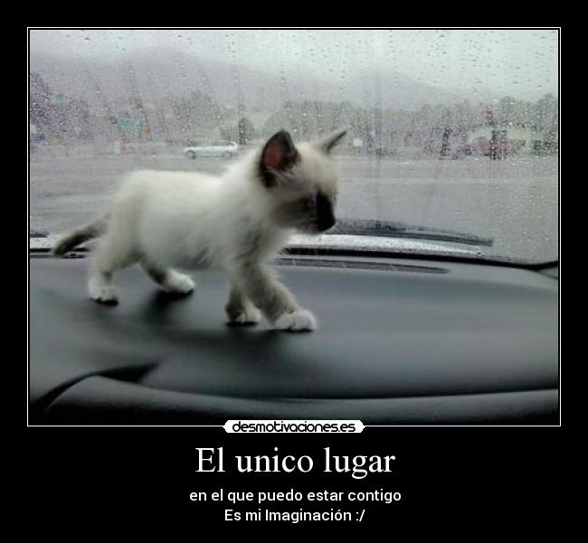 carteles lugar desmotivaciones