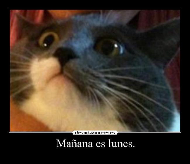 Mañana es lunes. - 