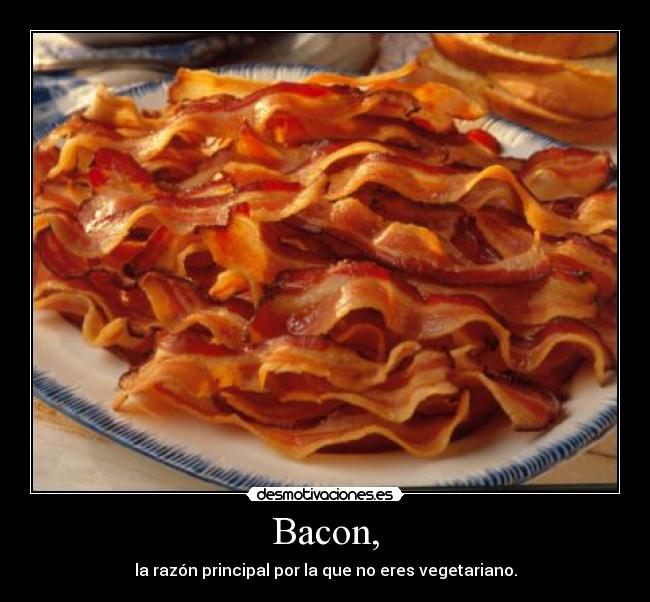 Bacon, - la razón principal por la que no eres vegetariano.