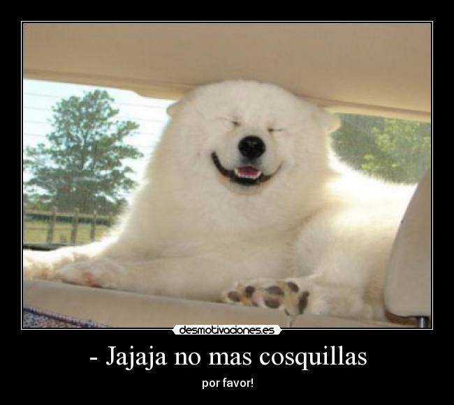 - Jajaja no mas cosquillas -