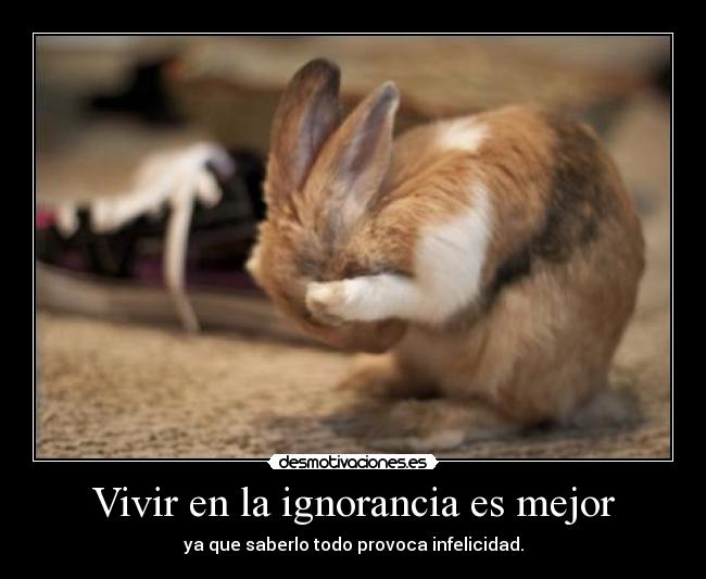 Vivir en la ignorancia es mejor | Desmotivaciones