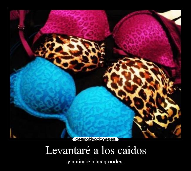 Levantaré a los caidos -