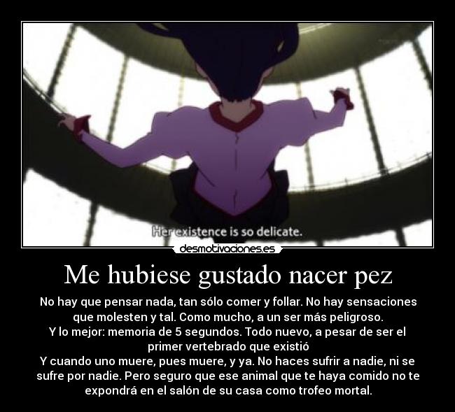 Me hubiese gustado nacer pez - No hay que pensar nada, tan sólo comer y follar. No hay sensaciones
que molesten y tal. Como mucho, a un ser más peligroso.
Y lo mejor: memoria de 5 segundos. Todo nuevo, a pesar de ser el
primer vertebrado que existió
Y cuando uno muere, pues muere, y ya. No haces sufrir a nadie, ni se
sufre por nadie. Pero seguro que ese animal que te haya comido no te
expondrá en el salón de su casa como trofeo mortal.