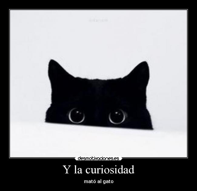 Y la curiosidad - mató al gato