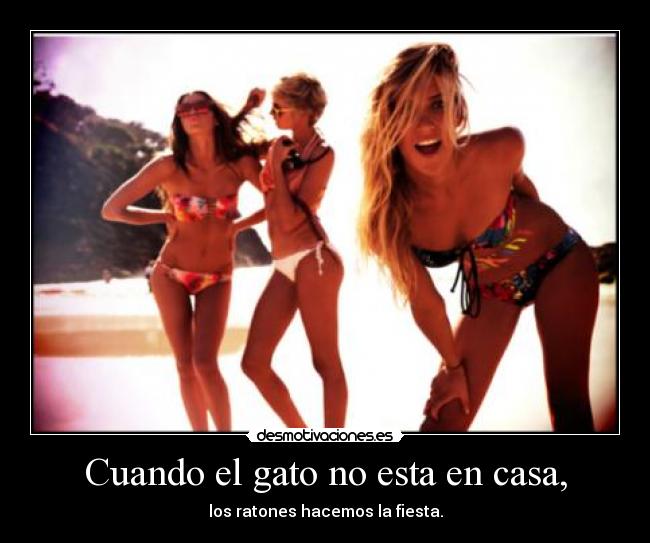 Cuando el gato no esta en casa, - los ratones hacemos la fiesta.