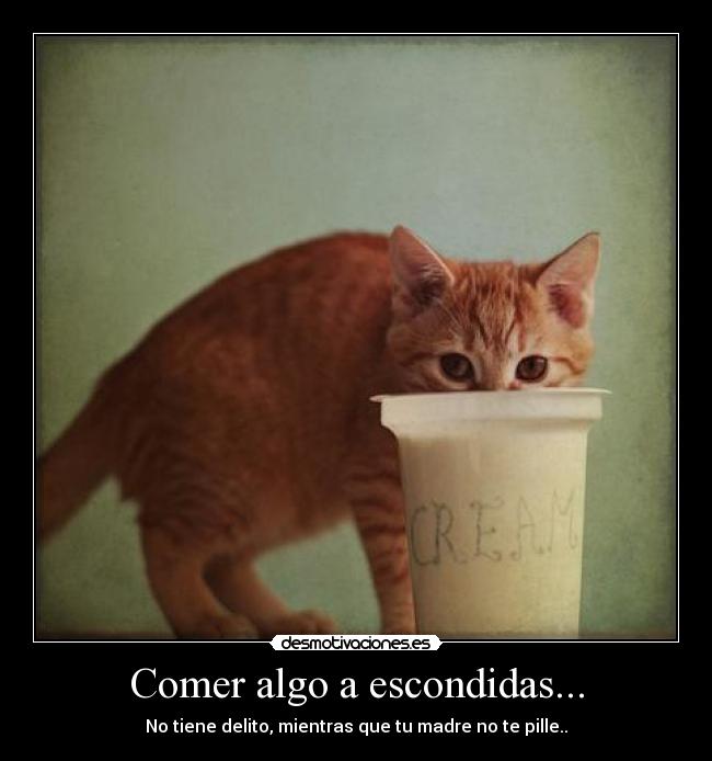 Comer algo a escondidas... - 