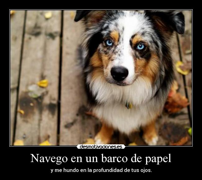 Navego en un barco de papel - y me hundo en la profundidad de tus ojos.