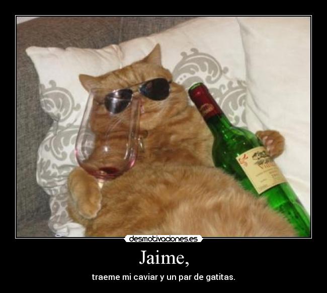 carteles jaime gatosvino caviar lentes wero violetmoon desmotivaciones