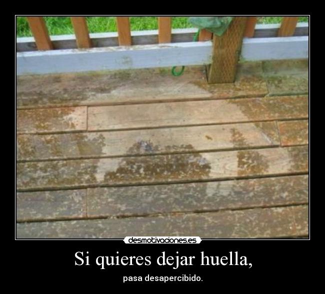 Si quieres dejar huella, - 