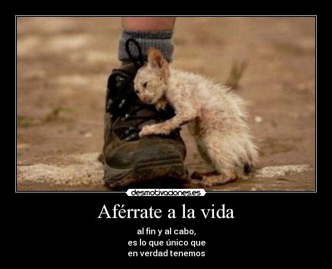 Aférrate a la vida -