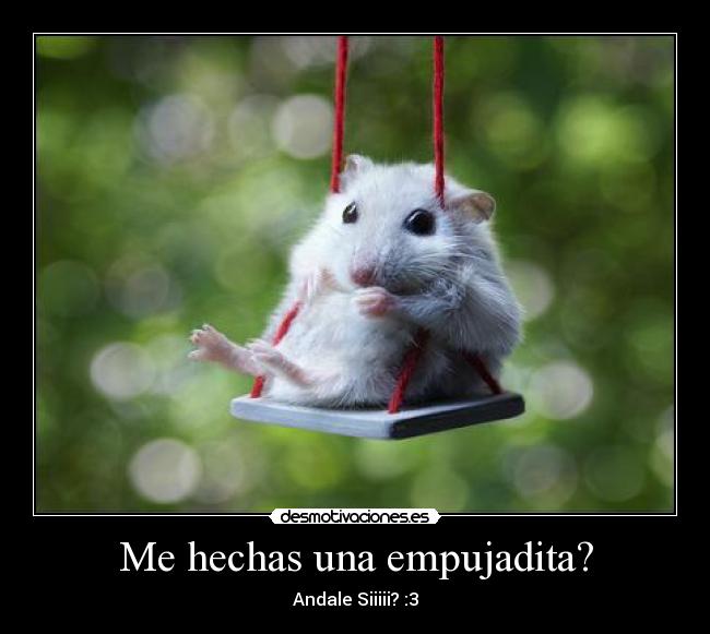 Me hechas una empujadita? -
