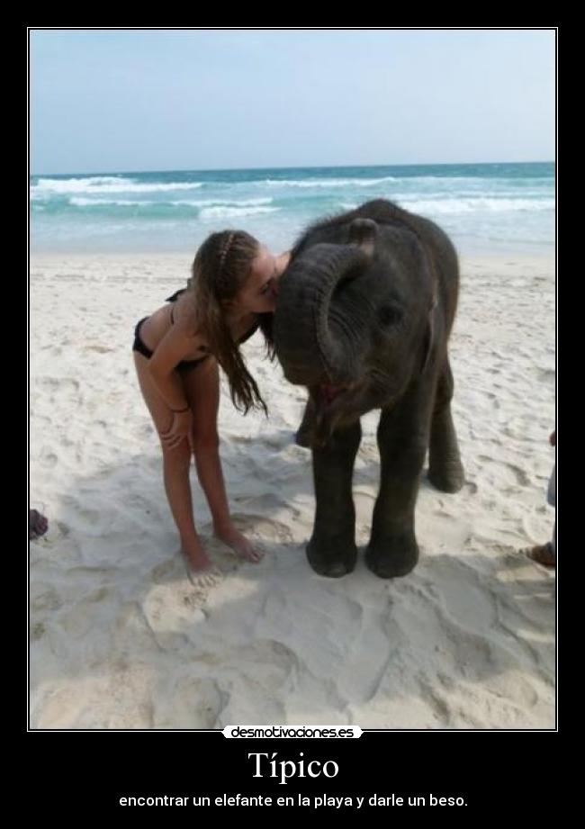 carteles samanthamedina98 desmotivaciones