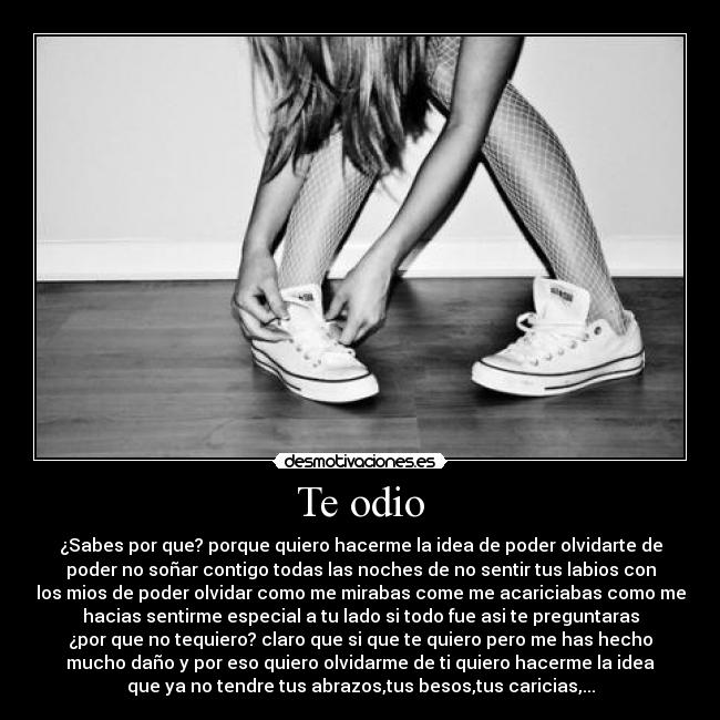 carteles odio odio desmotivaciones