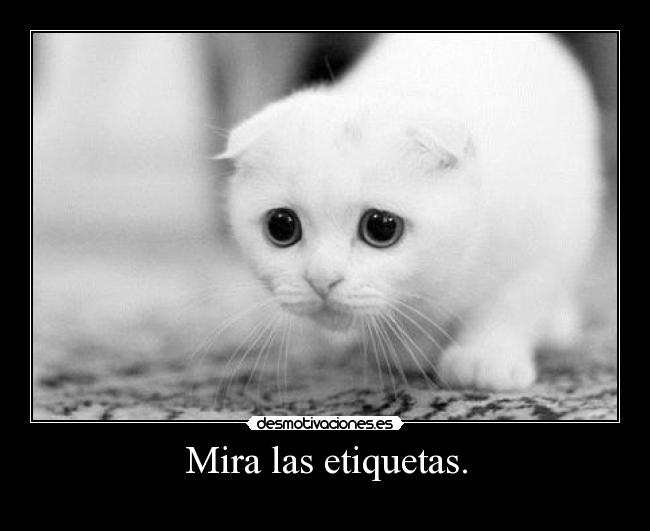 Mira las etiquetas. -