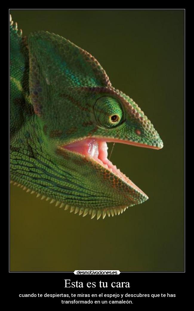 Esta es tu cara -